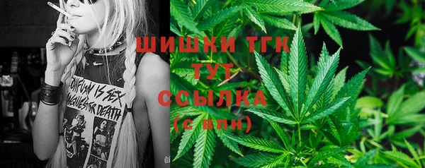 ПСИЛОЦИБИНОВЫЕ ГРИБЫ Алексин