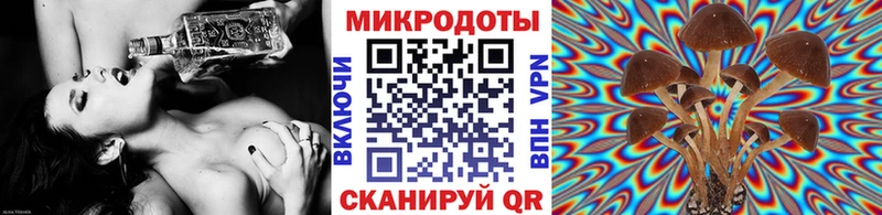 Псилоцибиновые грибы MAGIC MUSHROOMS  как найти закладки  Чистополь 